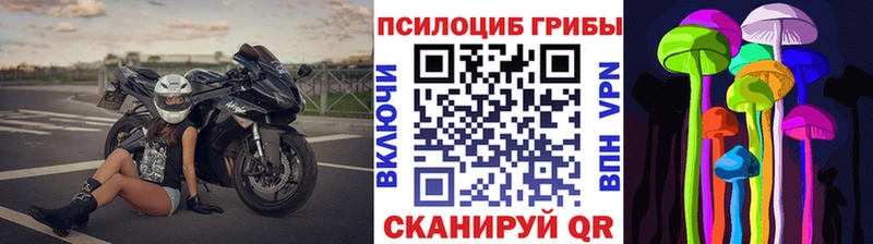 Галлюциногенные грибы мухоморы  Яхрома 